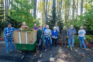 Creation Care Ministry removing invasive plants