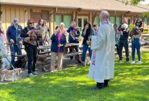 Animal companions being blessed