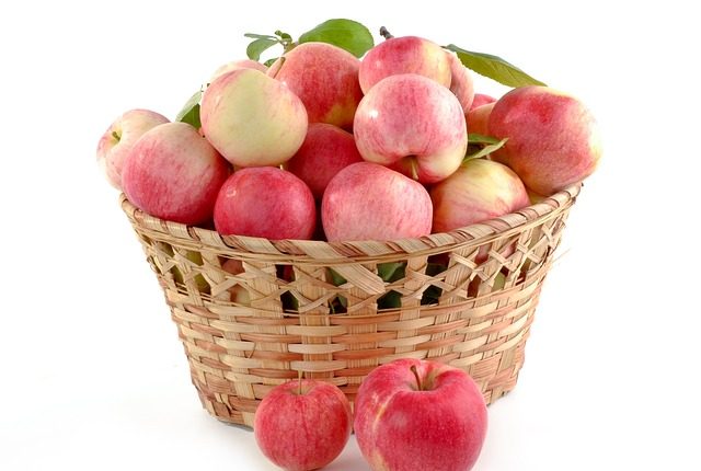 basket of apples