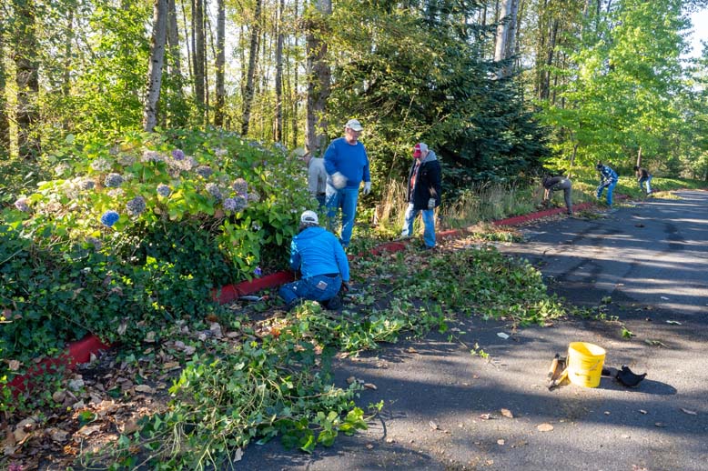 Creation Care Ministry removing invasive plants